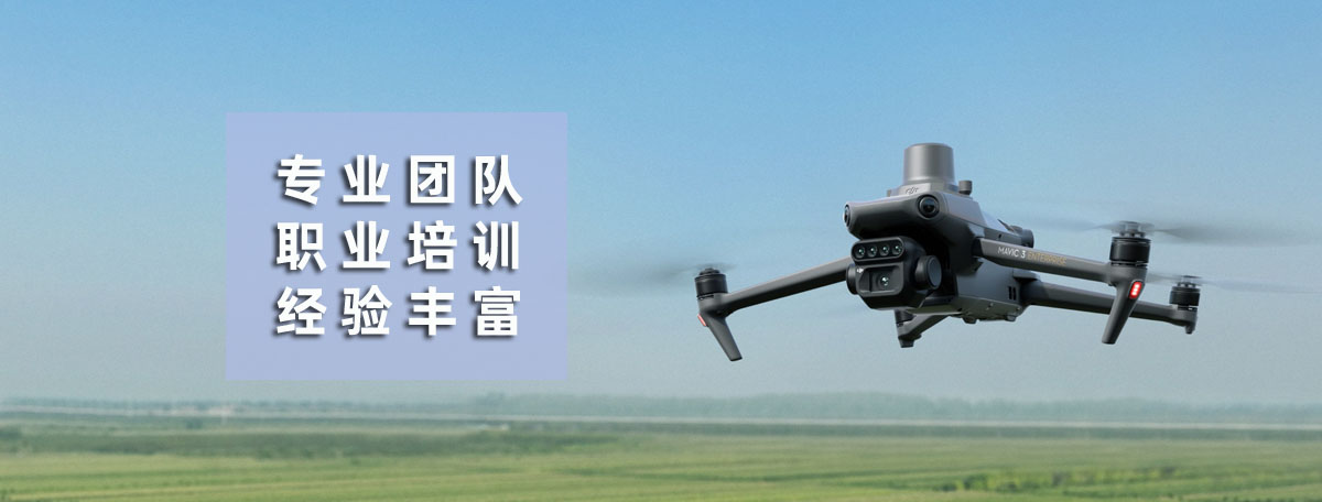 云顶航空公司简介